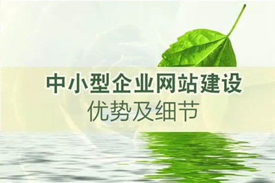 德州中小企業(yè)網(wǎng)站建設(shè)時的細節(jié)要求